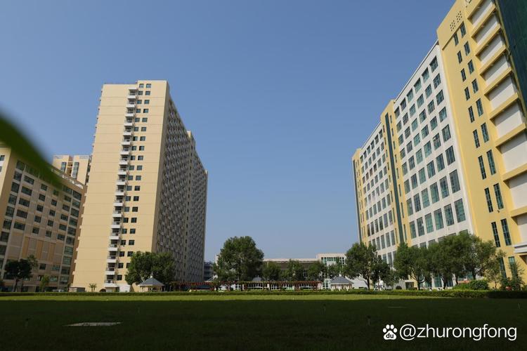 伯恩光学工厂的产品销售最多的城市是那个?